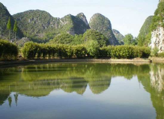 貴州普定易拉罐粉碎機