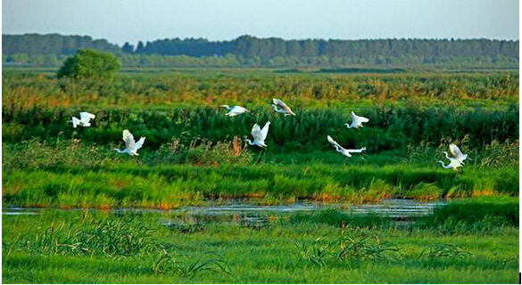 惠水木粉機(jī)